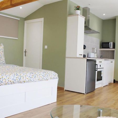 Saint Etienne : Appartement Chateaucreux 40 M2 Eksteriør billede