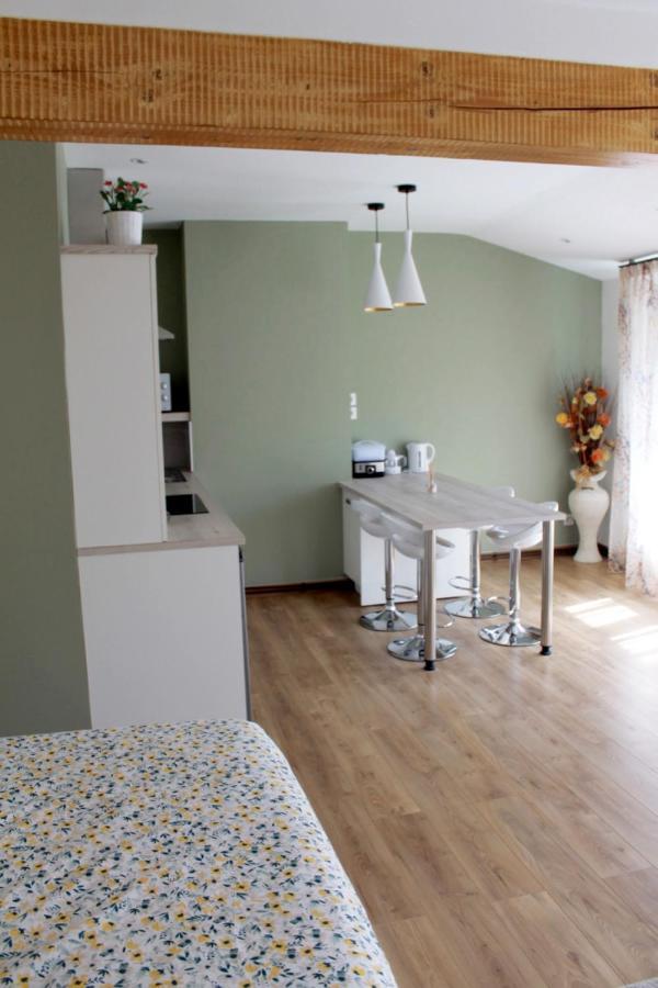 Saint Etienne : Appartement Chateaucreux 40 M2 Eksteriør billede