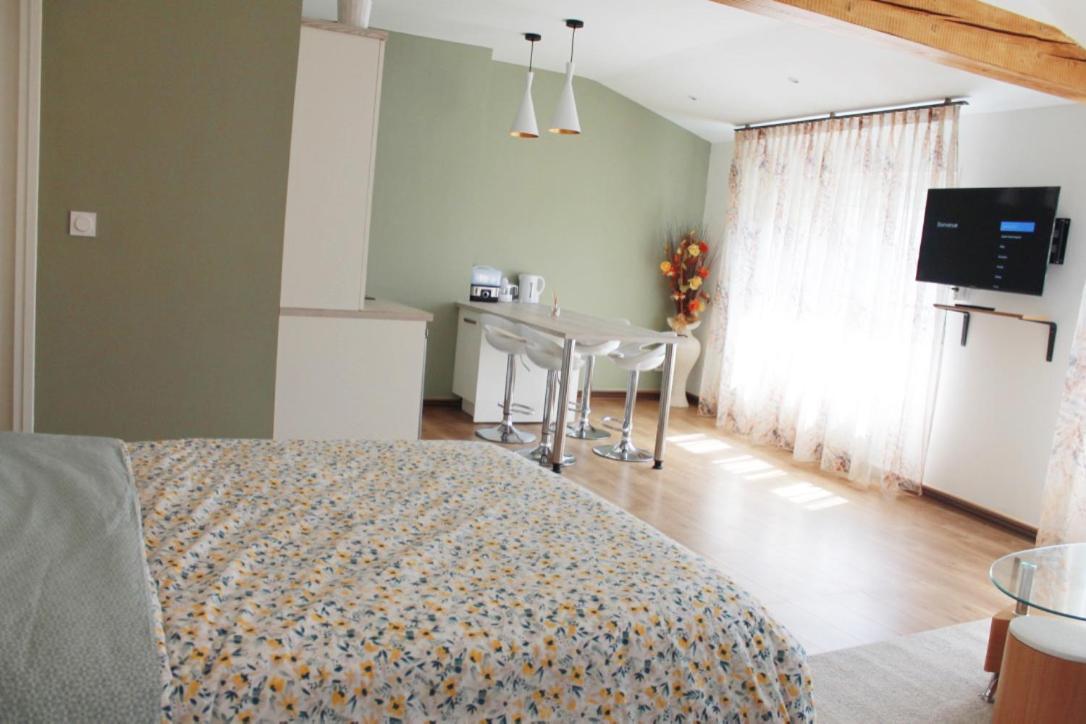 Saint Etienne : Appartement Chateaucreux 40 M2 Eksteriør billede