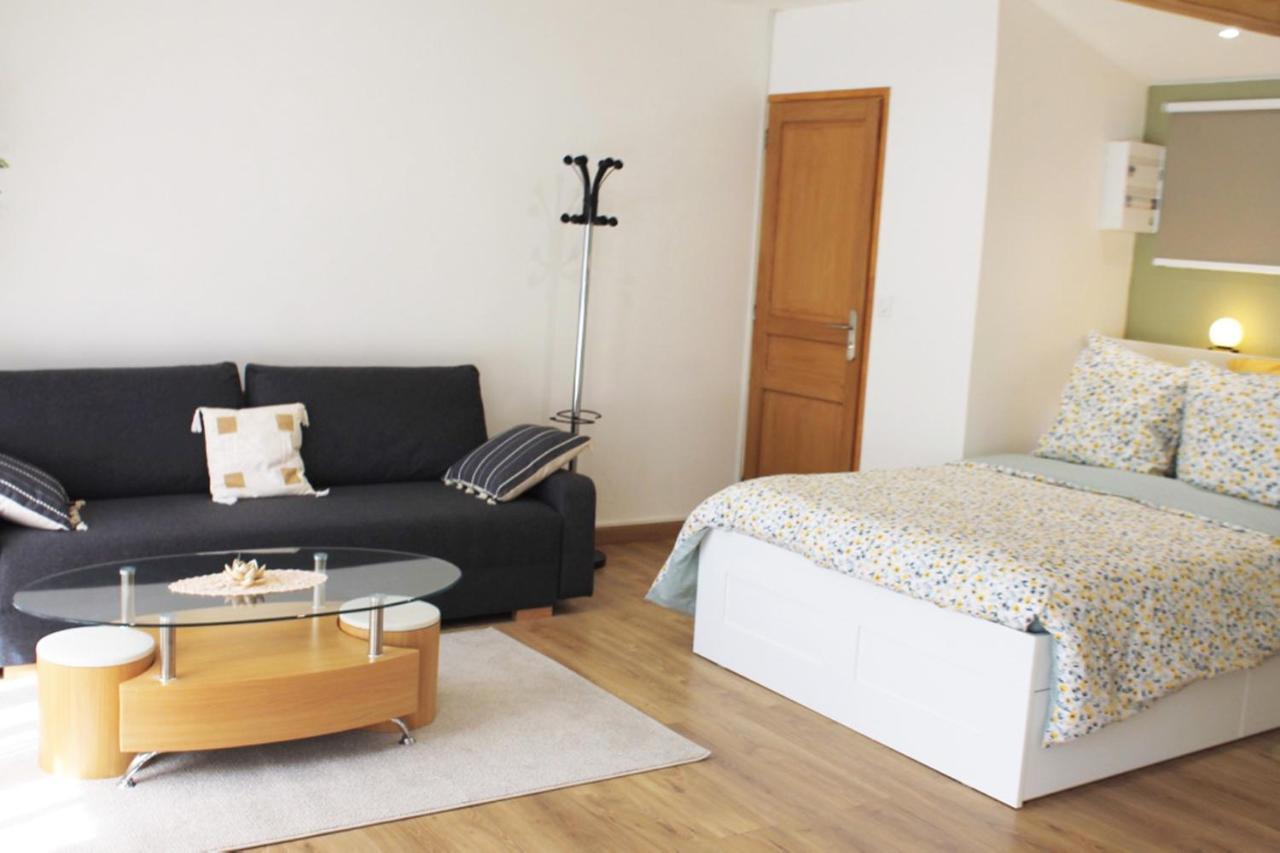 Saint Etienne : Appartement Chateaucreux 40 M2 Eksteriør billede